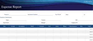 Blue-expense-report