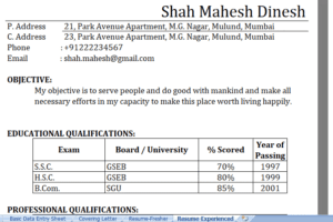 Resume-And-Cover-Letter-Excel-Template