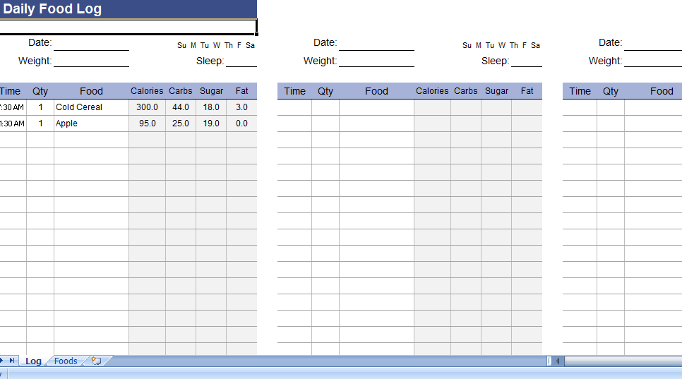 daily-food-log