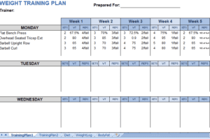 weight-training-plan