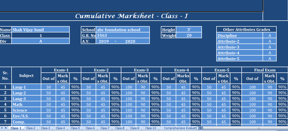 Student-Comprehensive-Progress-Report