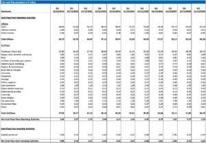 Cash-Flow-Projection