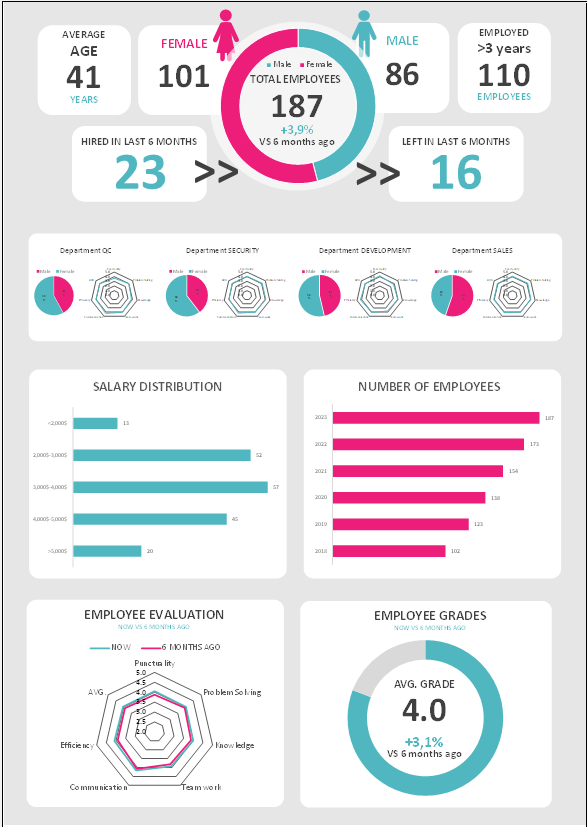 Editable Excel Template for Human Resource Dashboard for management